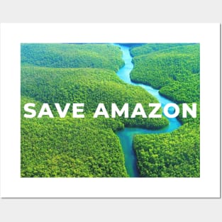 Save Amazon Posters and Art